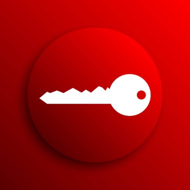 Anahtar simgesi. Beyaz arka plan üzerinde Internet düğmesi