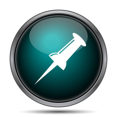 PIN simgesi. Beyaz arka plan üzerinde Internet düğmesi