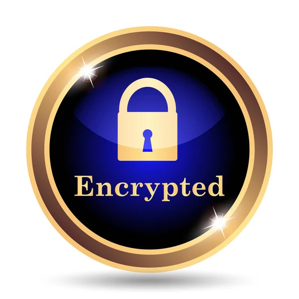 Encrypted icon. Internet button on white background