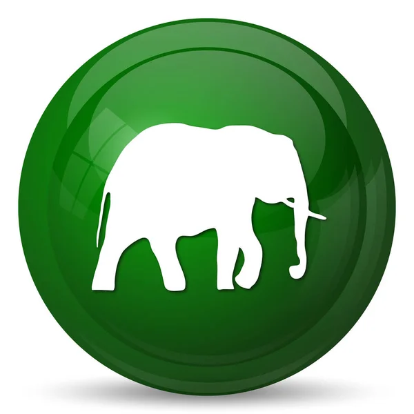 Elefant Ikonen Internet Knappen Vit Bakgrund — Stockfoto