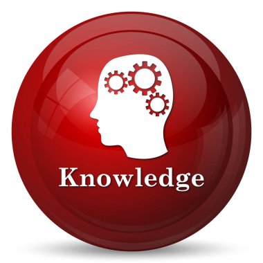 Knowledge icon