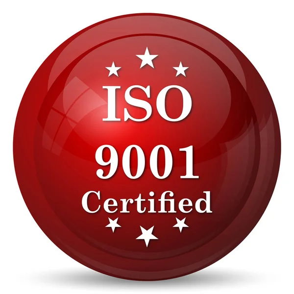 Iso9001 图标 — 图库照片