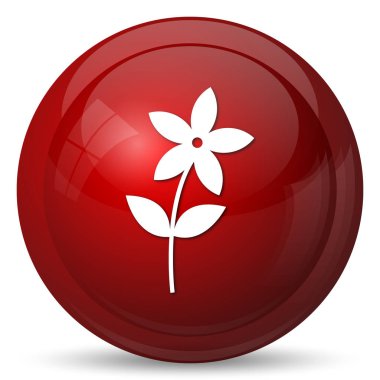 Çiçek Simgesi