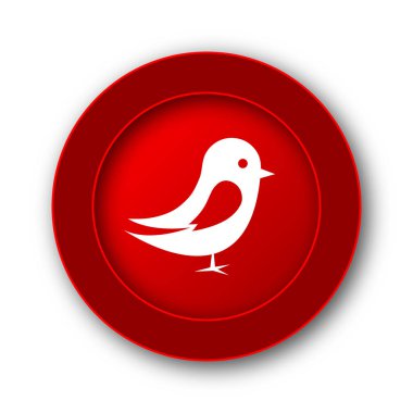 Kuş simgesi. Beyaz arka plan üzerinde Internet düğmesi.