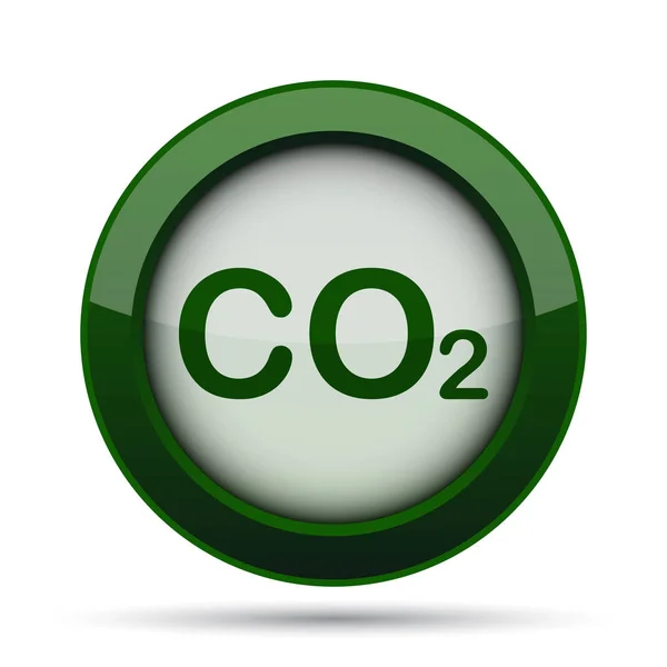 Icona Co2 Pulsante Internet Sfondo Bianco — Foto Stock