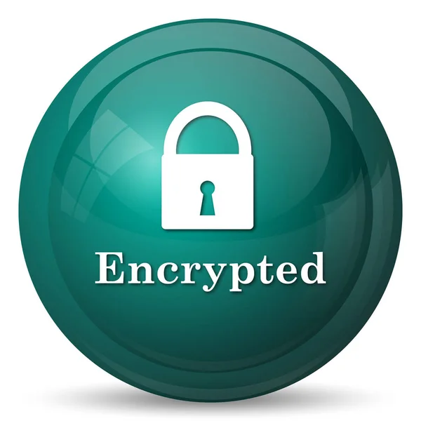 Encrypted Icon Internet Button White Background — Stock Photo, Image