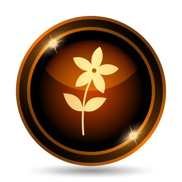 Flower Icon Icon Internet Button White Background — Stock Photo, Image