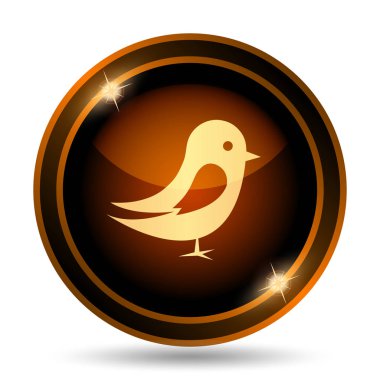 Kuş simgesi. Beyaz arka plan üzerinde Internet düğmesi