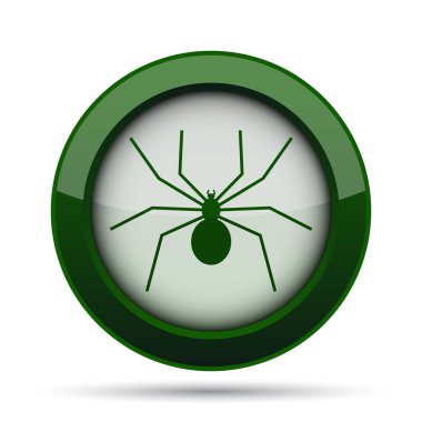 örümcek simgesi