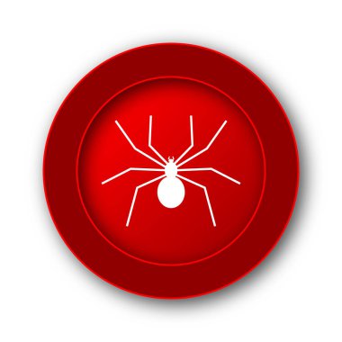 Örümcek simgesi. Beyaz arka plan üzerinde Internet düğmesi.