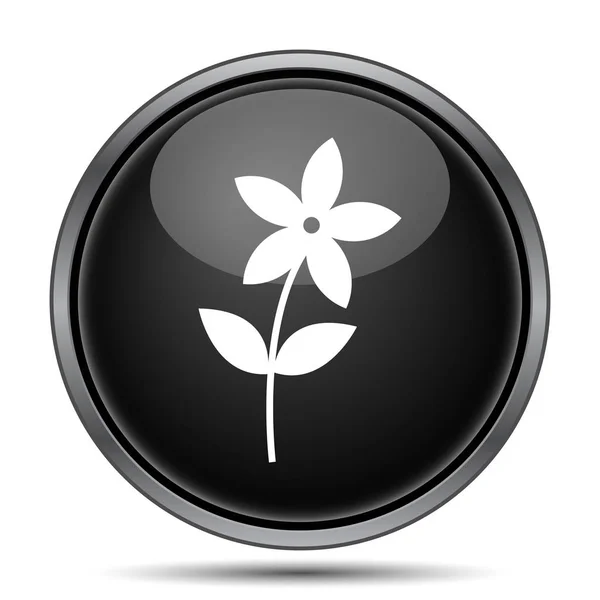 Flower Icon Icon Internet Button White Background — Stock Photo, Image