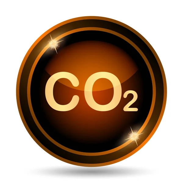 Co2 Ikonen Internet Knappen Vit Bakgrund — Stockfoto