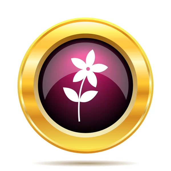 Flower Icon Icon Internet Button White Background — Stock Photo, Image