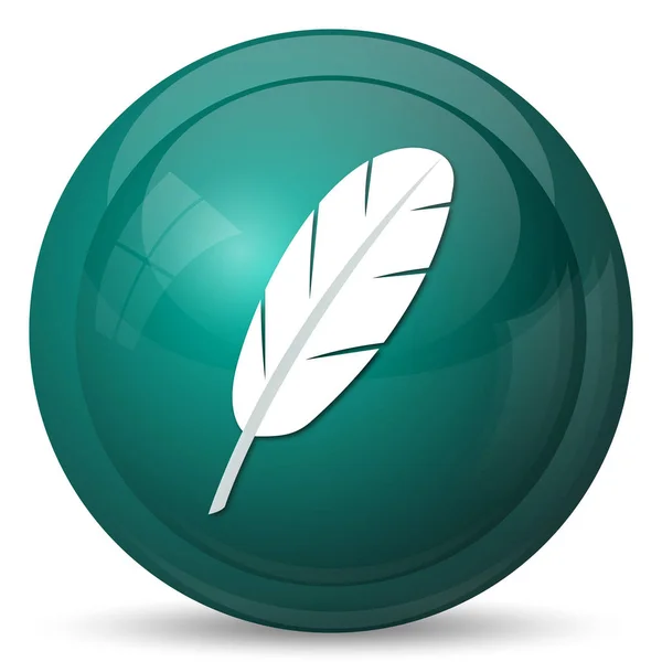 Feather icon — Stock Photo, Image