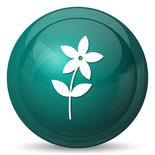 Flower  icon — Stock Photo, Image