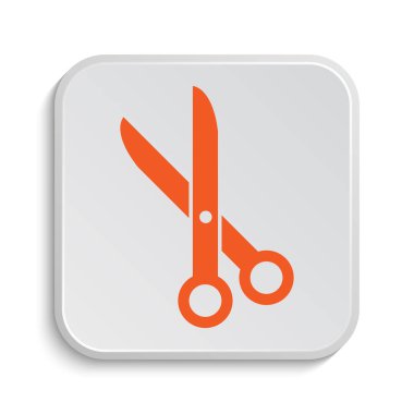 Simge kesti. Beyaz arka plan üzerinde Internet düğmesi