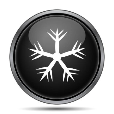 Kar tanesi simgesi. Beyaz arka plan üzerinde Internet düğmesi