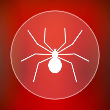 örümcek simgesi
