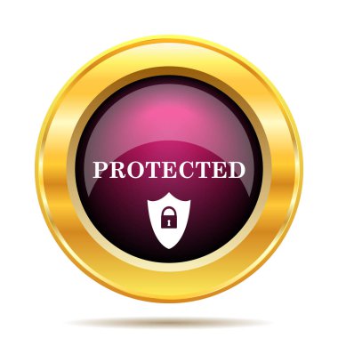 Korumalı simgesi. Beyaz arka plan üzerinde Internet düğmesi