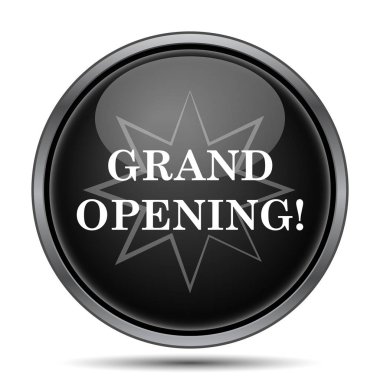 Büyük açılış simgesi. Beyaz arka plan üzerinde Internet düğmesi