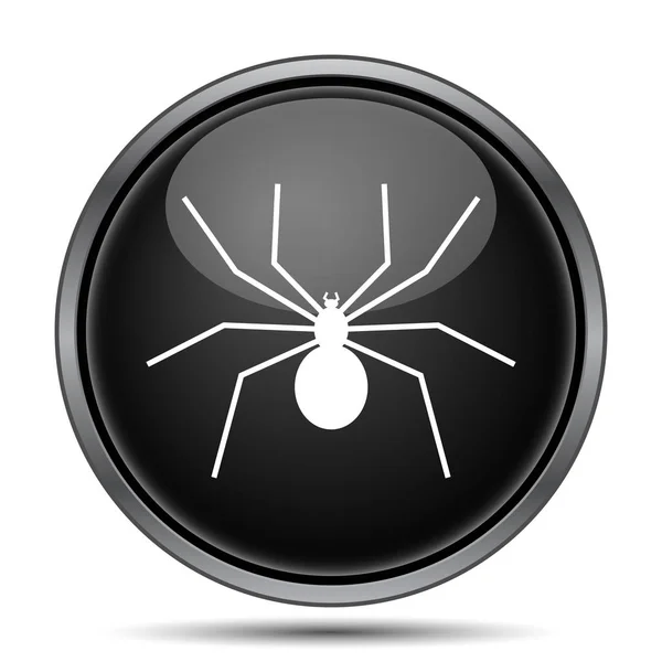 Icono Araña Botón Internet Sobre Fondo Blanco — Foto de Stock