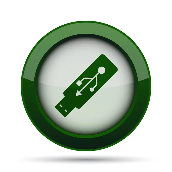 Usb フラッシュ ドライブのアイコン 白い背景の上のインター ネット ボタン — ストック写真