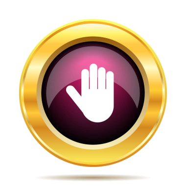 Simge durdurmak. Beyaz arka plan üzerinde Internet düğmesi