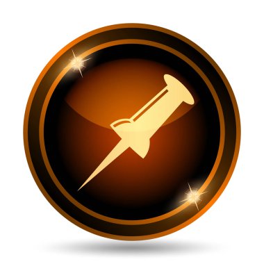 PIN simgesi. Beyaz arka plan üzerinde Internet düğmesi