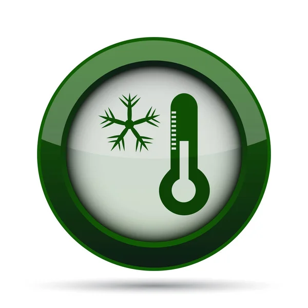 Snowflake Thermometer Icon Internet Button White Background — Stock Photo, Image