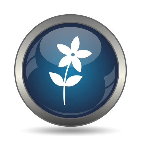 Flower Icon Icon Internet Button White Background — Stock Photo, Image