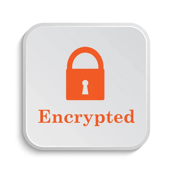 Encrypted Icon Internet Button White Background — Stock Photo, Image