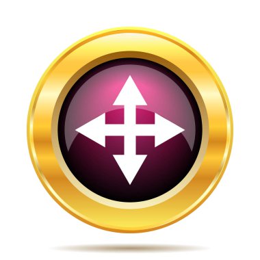 Tam ekran simgesini. Beyaz arka plan üzerinde Internet düğmesi