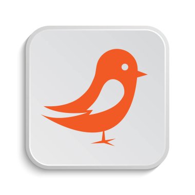 Kuş simgesi. Beyaz arka plan üzerinde Internet düğmesi