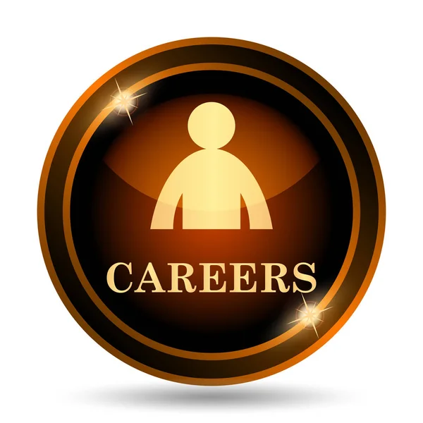 Careers icon. Internet button on white background