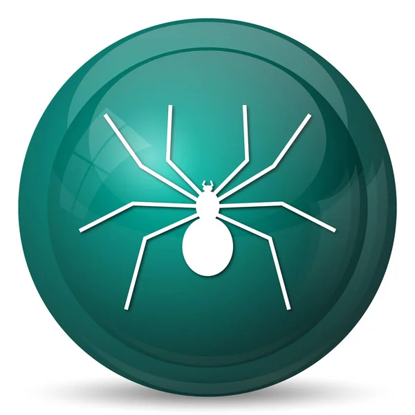 Icona del ragno — Foto Stock