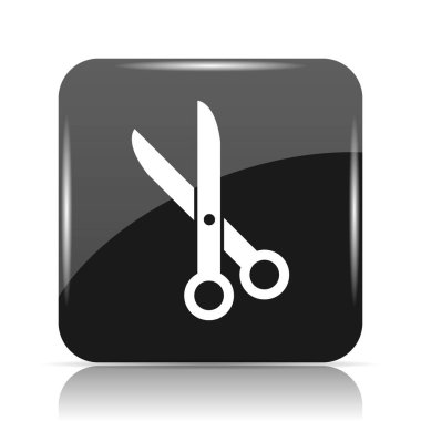 Simge kesti. Beyaz arka plan üzerinde Internet düğmesi