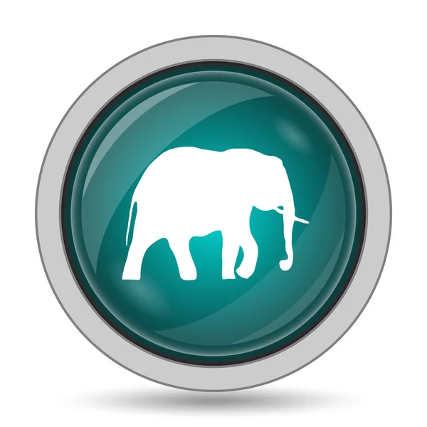 Icona elefante — Foto Stock