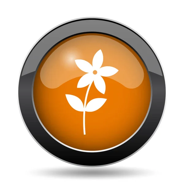 Flower  icon. Flower  website button on white background