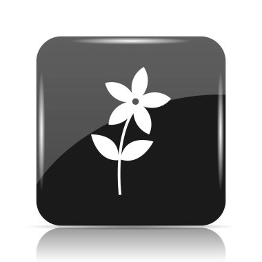 Çiçek simgesi simgesi. Beyaz arka plan üzerinde Internet düğmesi