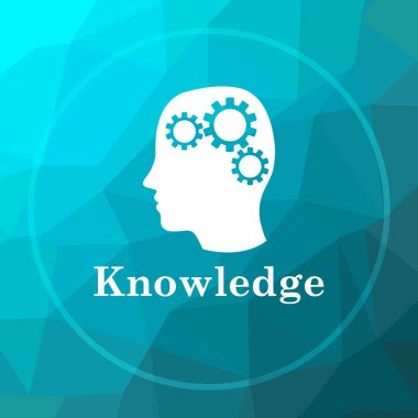 Bilgi simgesi. Bilgi web sitesi düğmesini mavi düşük poli arka plan üzerinde