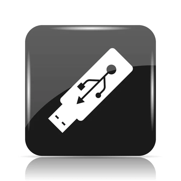 Usb Flashstation Pictogram Internet Knop Witte Achtergrond — Stockfoto