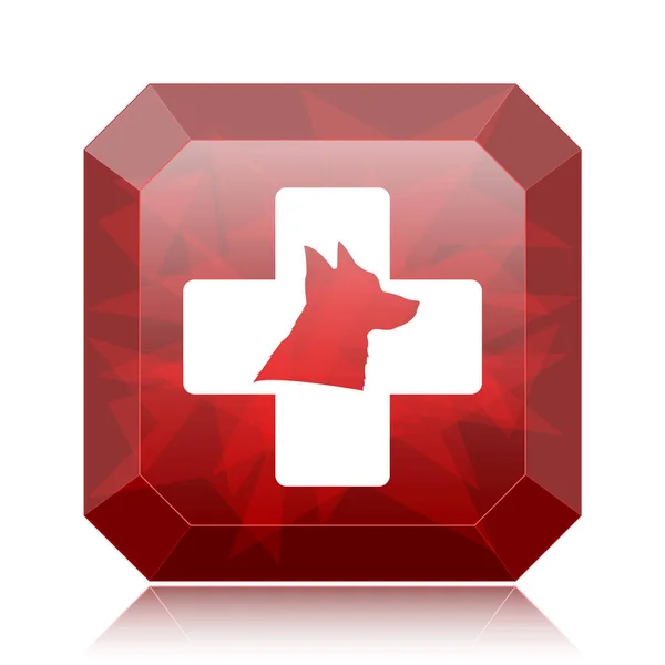 Veterinary Icon Red Website Button White Background — Stock Photo, Image