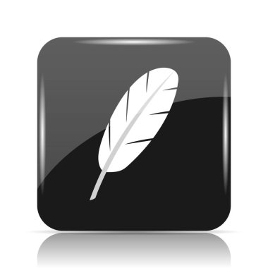 Tüy simgesi. Beyaz arka plan üzerinde Internet düğmesi