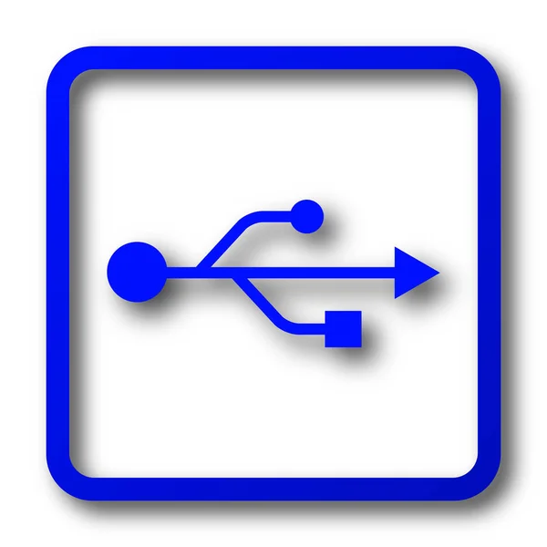 Usb 白色背景上的 Usb 网站按钮 — 图库照片