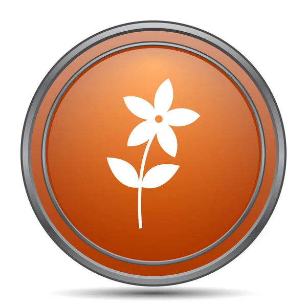 Flower  icon — Stock Photo, Image