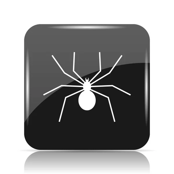 Spider Icon Internet Button White Background — Stock Photo, Image