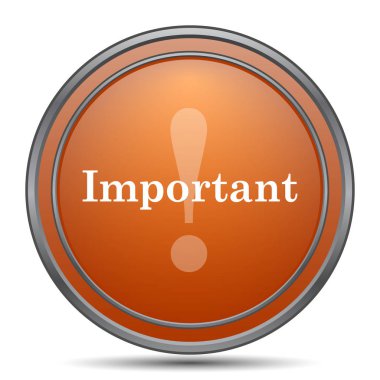 Önemli simgesi. Beyaz arka plan turuncu internet düğme