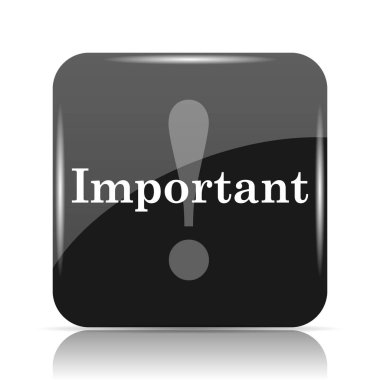 Önemli simgesi. Beyaz arka plan üzerinde Internet düğmesi