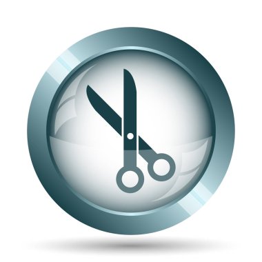 Simge kesti. Beyaz arka plan üzerinde Internet düğmesi.