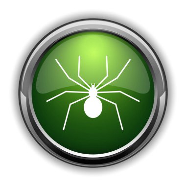 Örümcek simgesi. Örümcek Web sitesi düğmesini beyaz arka plan üzerinde